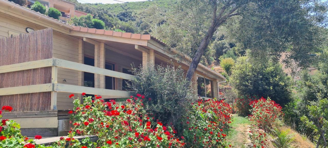 Les Terrasses De Scaglioli Villa Villanova Luaran gambar