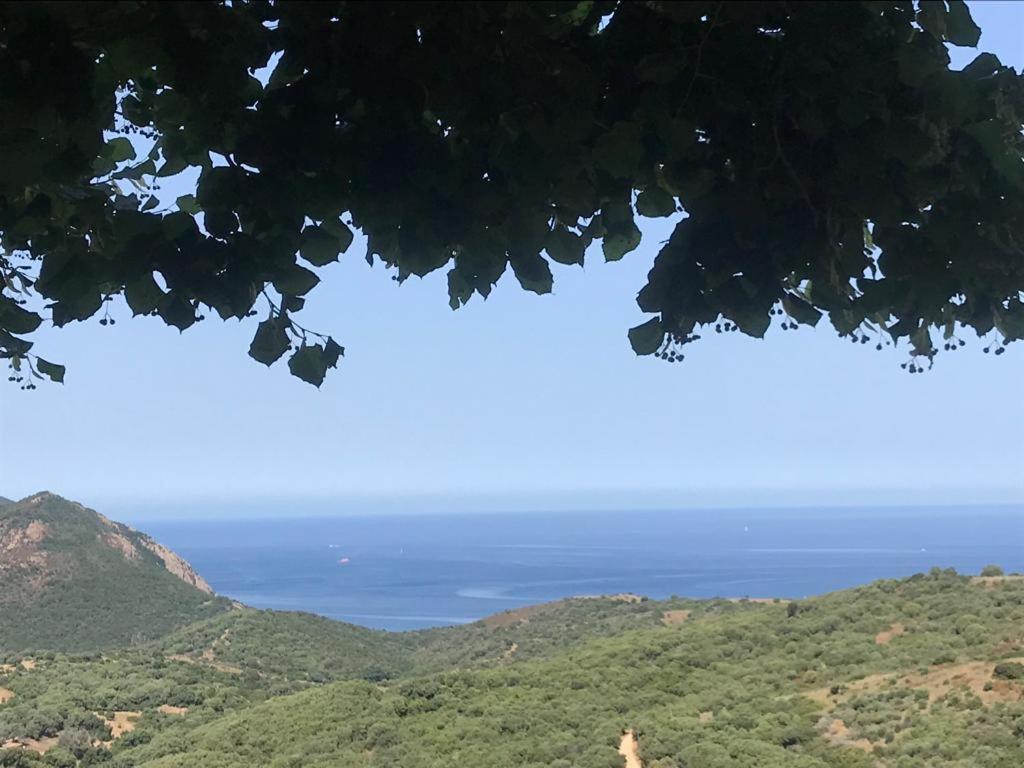 Les Terrasses De Scaglioli Villa Villanova Luaran gambar