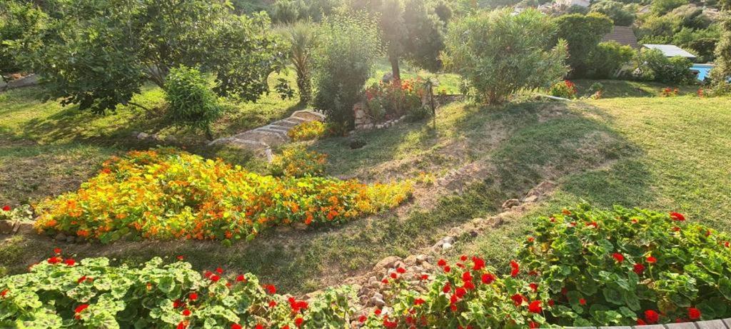 Les Terrasses De Scaglioli Villa Villanova Luaran gambar