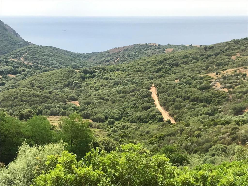 Les Terrasses De Scaglioli Villa Villanova Luaran gambar