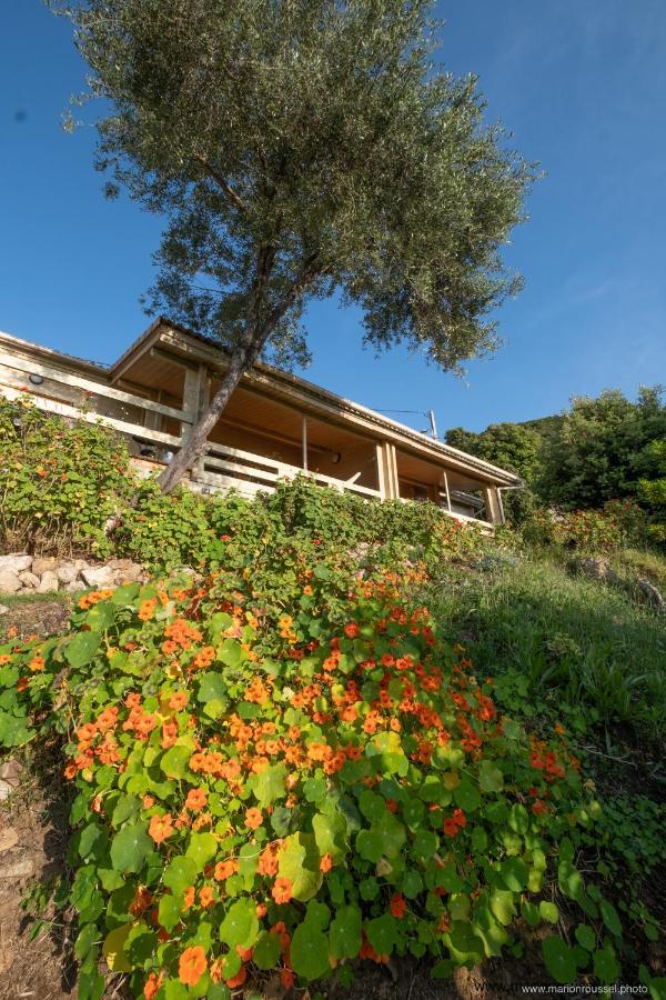 Les Terrasses De Scaglioli Villa Villanova Luaran gambar